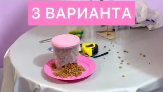 Как сделать автокормушку для кота для кошки своими руками из подручных средств автокормушка