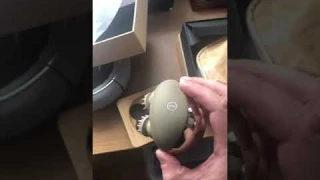 Bork Массажёр для головы D603