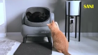 Neakasa M1 автоматический туалет для кошек: обзор от SANISHOW.