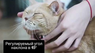 Интерактивный ошейник с встроенным лазером для кошек и собак / забавная игрушка для животных