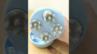 Массажер для головы Xiaomi Mini Head Massage M2