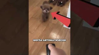 Робот собака лучше настоящей 🥰