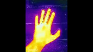 Рука в тепловизор