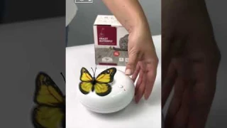 M-Pets интерактивная звуковая игрушка для кошек CRAZY Butterfly 🦋 Ссылки в описании!
