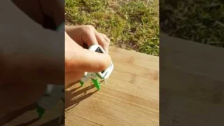 Solar Power Puppy