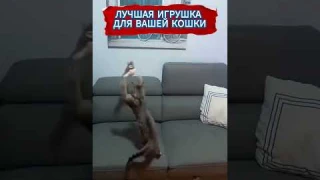 Игрушка для кошки летающая птичка