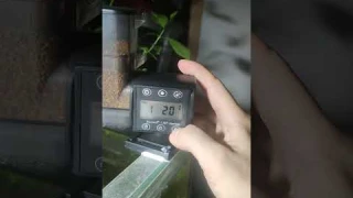 Авто кормушка Jecod настройки#aquarium #аквариум #дляпочатківців #кормушка #настройки