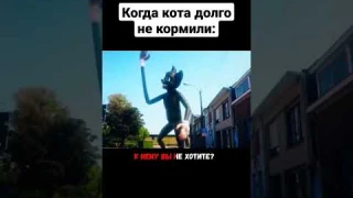 Когда кота долго не кормили #shorts