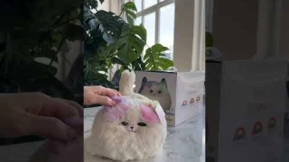 Интерактивная игрушка Кошечка  МИЯ😍 Закрывает глазки , виляет хвостиком, мяукает , мило храпит 💤