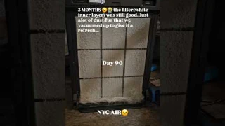 Winix 5500-2 #airfilter 3 mnth #air #nyc #travel  #productreview #fyp #dogshorts #dogstagram #queens
