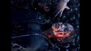 Tyler & Wednesday❤️‍🩹 SPOİLER S2!#wednesday#viral#trending#fyp#shorts#edit#wednesday2#new#love#sad