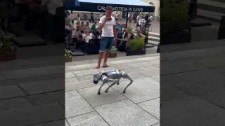 Бионический робот собака #Unitree