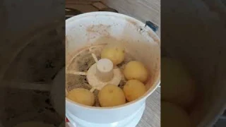 Картофелечистка, овощечистка бытовая, электрическая. Помощница на кухню.