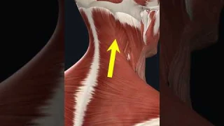 Вибромассажер для шеи. Опасно? #shorts