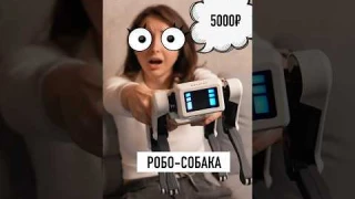 Робот-собака за 5 000 рублей?! Это реально?