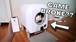 What I DIDN'T LIKE About the ZeaCotio Automatic Litter Box + Demo!