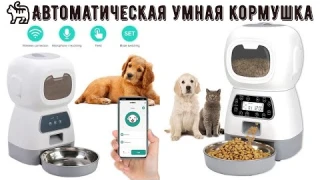 🐈Автоматическая умная кормушка для домашних животных