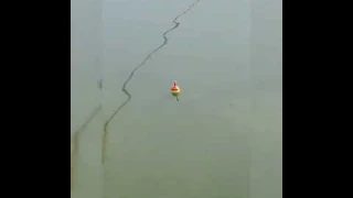 Автоматический поплавок.