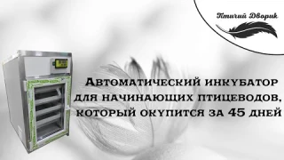 Автоматический инкубатор для начинающих птицеводов, который окупится за 45 дней