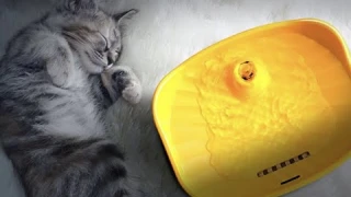 #nicovaer Бесшумный питьевой USB фонтан Космо для кошек, для собак NICOVAER