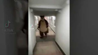 POV:  за тобой бежит медведь