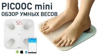 PICOOC MINI - Обзор лучших умных весов с 14 параметрами тела!