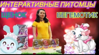 Обзор // развивающие игрушки: интерактивная собачка, умный щенок и забавный бегемотик.