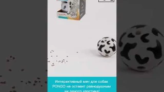 Интерактивный мяч PONGO для лакомств 🐶 Ссылки в описании!