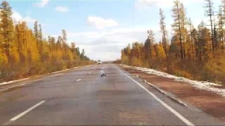Hammer s18 на трассе АЯМ