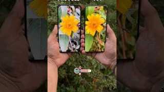 Oppo F31 Pro Plus Vs Vivo V60 Camera Compare #mobilepapa #shorts