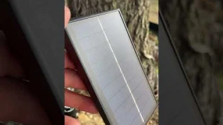 SolarScape: Effortless Curb Appeal Made Possible with Solar Spotlights