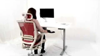 Electric Height Adjustable Desk Sit Stand Desk Standing Desk- Ergomaker