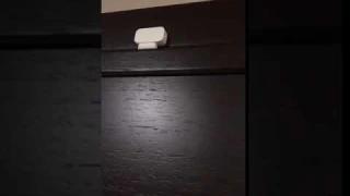 Xiaomi Door Sensor