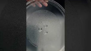 Xiaomi Microwave Oven – Стильная микроволновка для вашей кухни