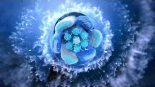 Oral-B iO Серия 5 электрическая зубная щетка