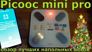 Обзор умных весов Picooc Mini Pro