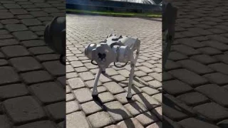 Робот Собака отказывается от купания 💦🤖