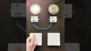 Двойной беспроводной выключатель