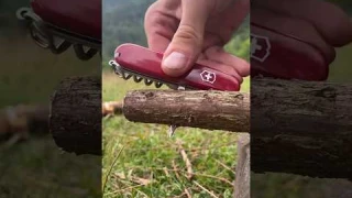 An Incredible Survival Trick with Victorinox Swiss Army Knife #survival