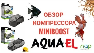 Обзор- Компрессор Aquael MiniBoost