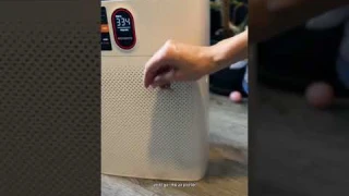 Pet Owners Need This! | Morento Air Purifier