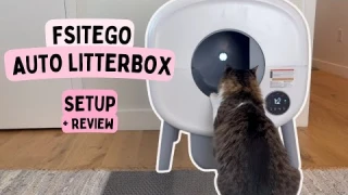My cat tried the FSITEGO / MeowWhimsy / TAYACICY automatic litter box—here’s what you NEED to know!
