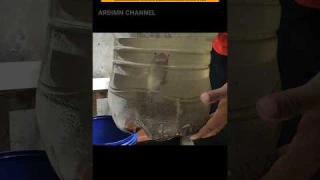 Bongkar progres bunga chana maru di galon 10 bulan 😱‼️#shorts #channa #chanamaru #snakehead