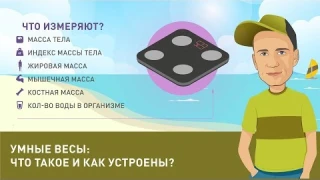 Умные весы: что это такое и как устроены