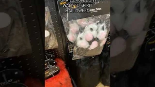 THE PAWS LOOK SO HIGH QUALITY?! #shorts #furry #furries #therian #halloween #trending #cringe #uaz