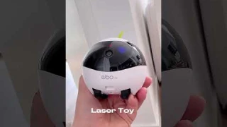 Get ready to meet your pet's best friend – EBO Air!