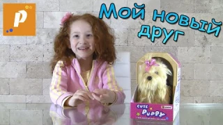 Мой новый друг. Обзор интерактивные игрушки интерактивная игрушка Unboxing interactive dog jamina