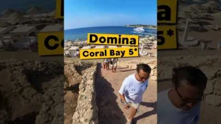 ✈️ Летим в Египет 🇪🇬 Отель Domina Coral Bay 5* #travelvlog