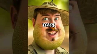 🕒Вот 30 Секунд Бесполезной инфы о MrBeast | Мистер Бист #shorts #short