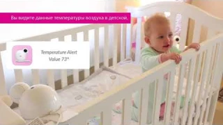 Беспроводная видеоняня iBaby Monitor M7 - обзор функций